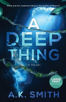 A Deep Thing by A K Smith 9781949325850