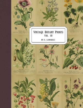 Vintage Botany Prints: Vol. 10 by E Lawrence 9781722499853