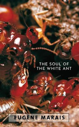 The Soul of the White Ant by Eugene N Marais 9780980297652