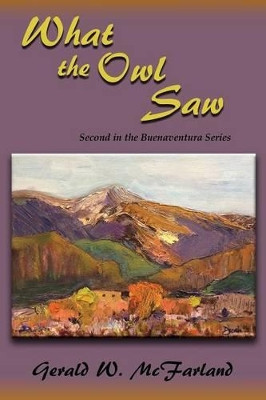 What the Owl Saw by Gerald W McFarland 9781632930088