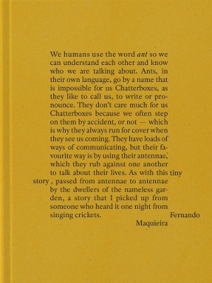 Fernando Maquieira: A Tiny Story by Fernando Maquieria 9788419233721
