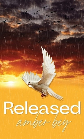 Released by Amber Bey 9798868967672