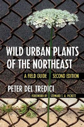 Wild Urban Plants of the Northeast: A Field Guide by Peter Del Tredici 9781501740442