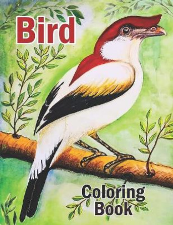 Bird Coloring Book: Printable World of Birds and Nature Coloring Book for Adults Relaxation and Meditation - Keep Calm and Color Exotic Birds Coloring Book, Bird House Adult Coloring Book by Creative Books Publishing 9798506834410