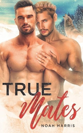 True Mates: A Gay Shifter Mpreg by Noah Harris 9781790576197