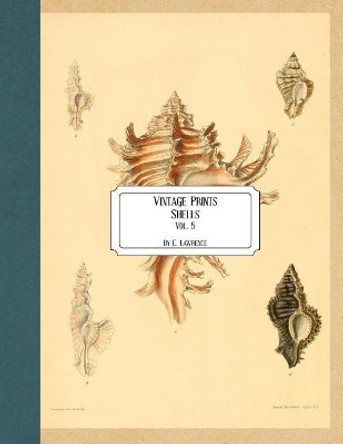 Vintage Prints: Shells: Vol. 5 by E Lawrence 9781727185706