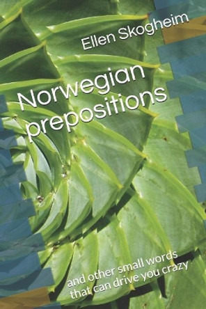 Norwegian prepositions: and other small words that can drive you crazy by Ellen Skogheim 9781099003998