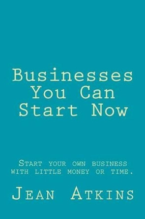 Businesses You Can Start Now: Start your own business with little money or time. by Jean Atkins 9781499694970