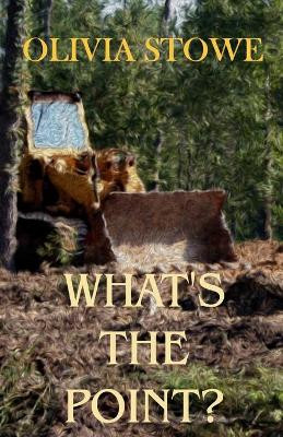 What's the Point?: Charlotte Diamond Mysteries 5 by Olivia Stowe 9781921879784