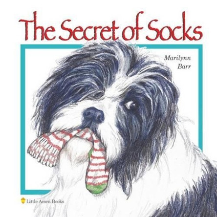 The Secret of Socks by Marilynn Barr 9781539015949