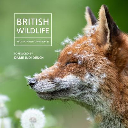 British Wildlife Photography Awards 2023 by Will Nicholls