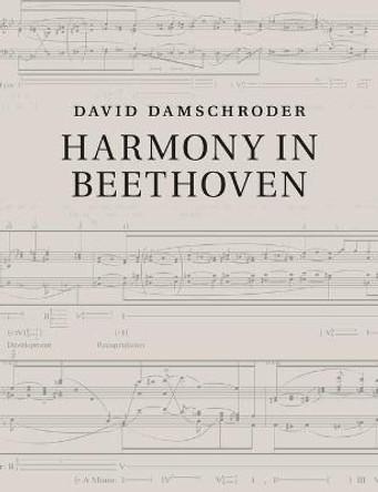 Harmony in Beethoven by David Damschroder