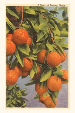 Vintage Journal Oranges, Florida by Found Image Press 9781669518204