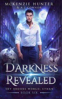 Darkness Revealed by A J Connor 9781946457127
