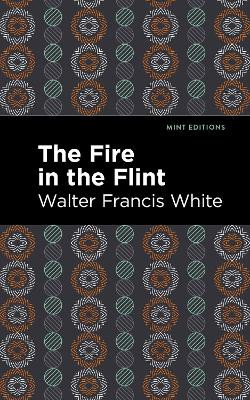 The Fire in the Flint by Walter Francis White 9781513282435