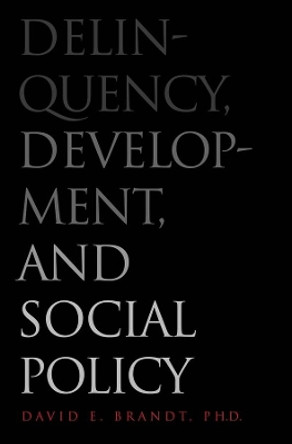 Delinquency, Development, and Social Policy by David Brandt 9780300108941