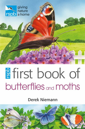 RSPB First Book of Butterflies and Moths Derek Niemann 9781408165720