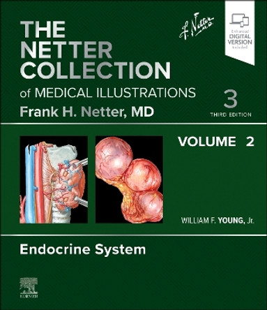 The Netter Collection of Medical Illustrations: Endocrine System, Volume 2 by William F. Young 9780323881265