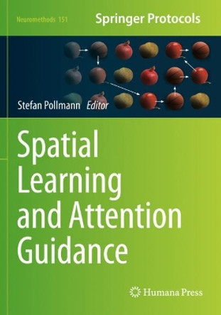 Spatial Learning and Attention Guidance by Stefan Pollmann 9781493999507