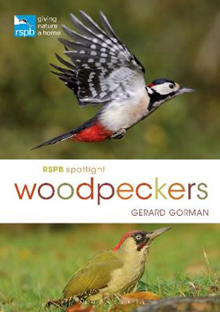 RSPB Spotlight Woodpeckers by Gerard Gorman