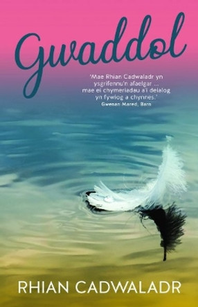 Gwaddol by Rhian Cadwaladr 9781845279455