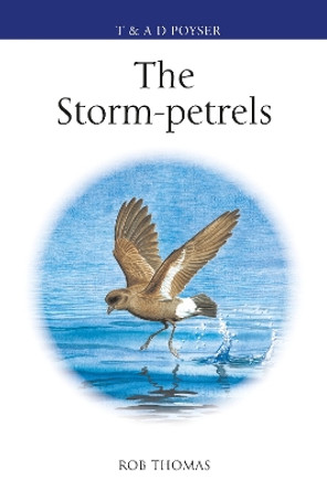 The Storm-petrels by Rob Thomas 9781472985811