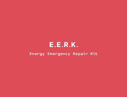 Energy Emergency Repair Kit The E.E.R.K. Collective 9781531508425