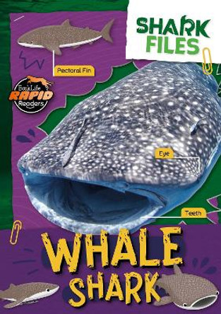 Whale Shark Robin Twiddy 9781805056874