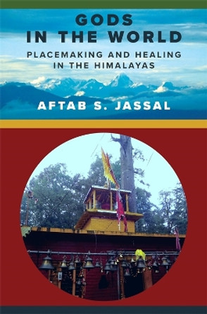 Gods in the World: Placemaking and Healing in the Himalayas Aftab S. Jassal 9780231214971