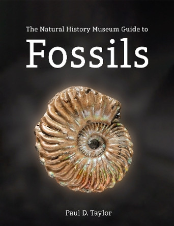 The Natural History Museum Guide to Fossils Paul D. Taylor 9780565095635