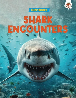 Shark Encounters Paul Stevenson 9781835691212