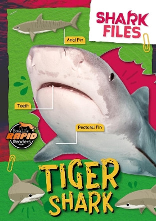 Tiger Shark Robin Twiddy 9781805056867