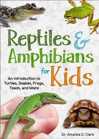 Reptiles & Amphibians for Kids: An Introduction to Turtles, Snakes, Frogs and Toads, and More Dr. Amanda D. Clark 9781647552893