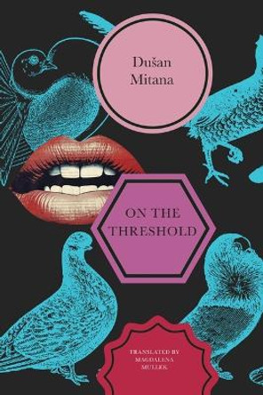 On the Threshold: Short Stories Dušan Mitana 9781803094120