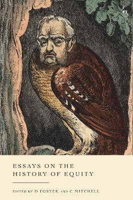 Essays on the History of Equity D Foster 9781509955121