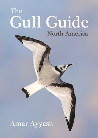 The Gull Guide: North America Amar Ayyash 9780691195896
