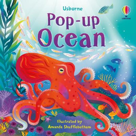 Pop-up Ocean Jenny Hilborne 9781805072942