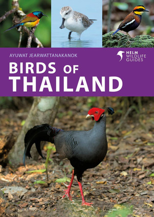 Birds of Thailand Ayuwat Jearwattanakanok 9781399414715