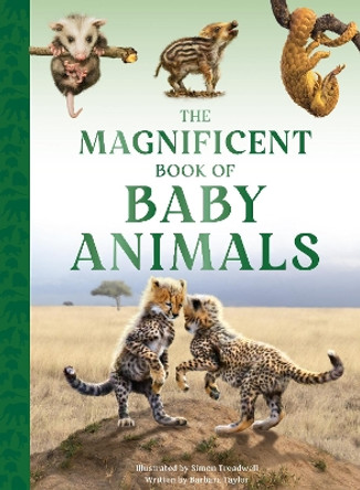 The Magnificent Book of Baby Animals Barbara Taylor 9781915588470