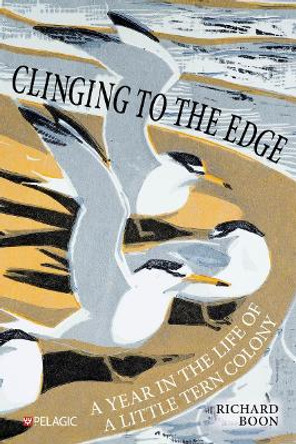Clinging to the Edge: A Year in the Life of a Little Tern Colony Richard Boon 9781784274894