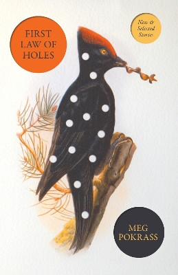 First Law of Holes: New and Selected Stories Meg Pokrass 9781950539987
