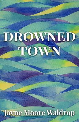Drowned Town Jayne Moore Waldrop 9781950564484