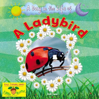 A Ladybird Ruth Owen 9781788564397