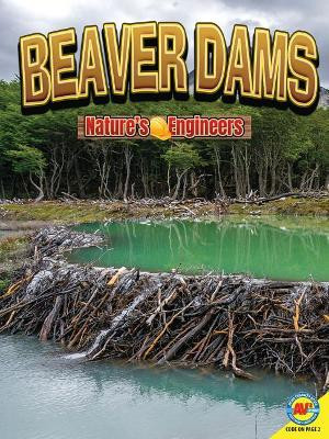 Beaver Dams by Nancy Furstinger 9781489697424