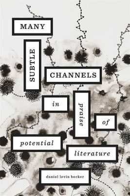 Many Subtle Channels: In Praise of Potential Literature by Daniel Levin Becker 9780674065772