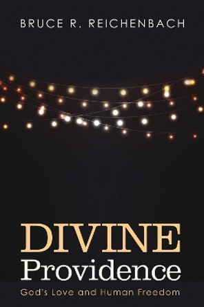 Divine Providence by Bruce R Reichenbach 9781498292856