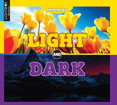 Light and Dark by Emilie DuFresne 9781510546325