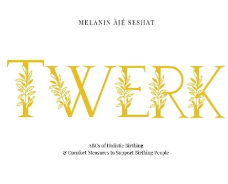 Twerk: ABCs of Holistic Birthing and Comfort Measures to Support Birthing People by Melanin Àjé Seshat 9781737969617