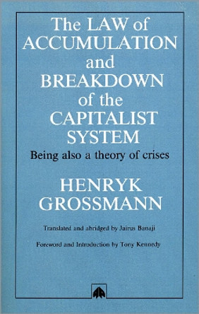 The Law of Accumulation and Breakdown of the Capitalist System by Henryk Grossmann 9780745304595