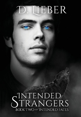 Intended Strangers by D Lieber 9781951239220